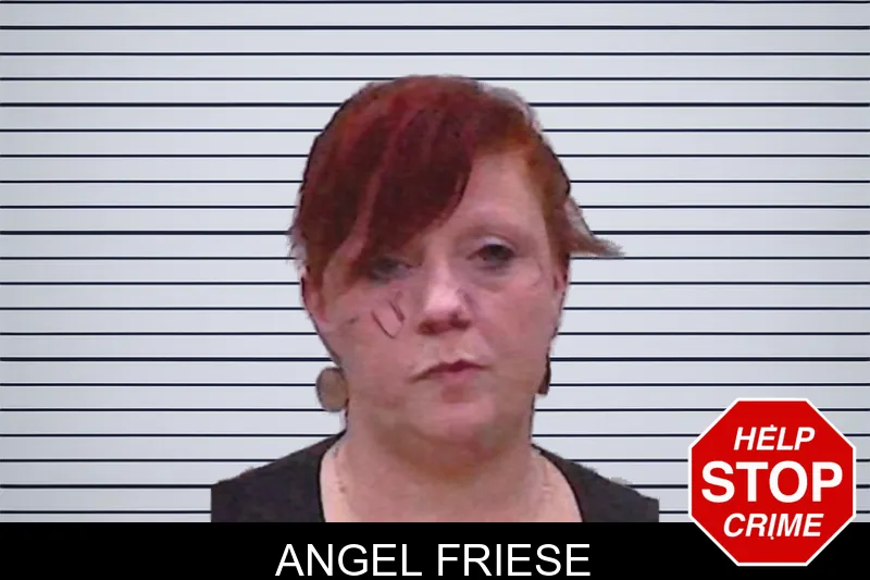 Angel Friese mugshot – Screven County , Georgia Angel Friese mugshot