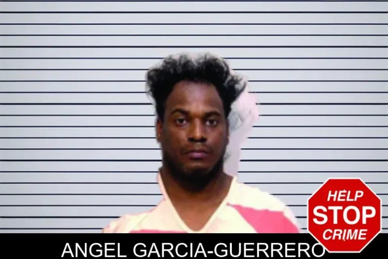 Angel Garcia-Guerrero