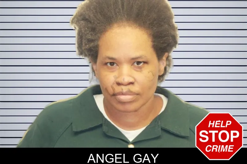 Angel Gay mugshot