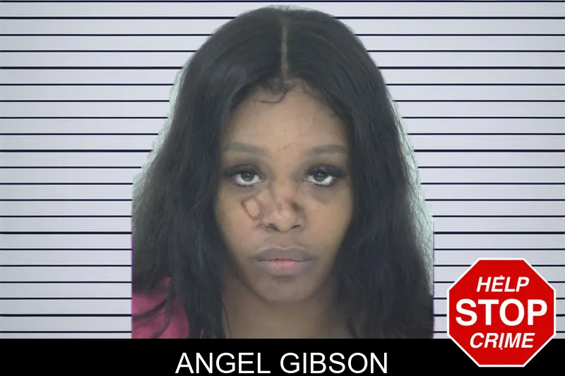Angel Gibson mugshot