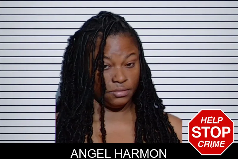 Angel Harmon mugshot – Glynn County , Georgia Angel Harmon mugshot