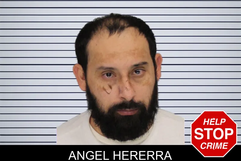 Angel Hererra mugshot