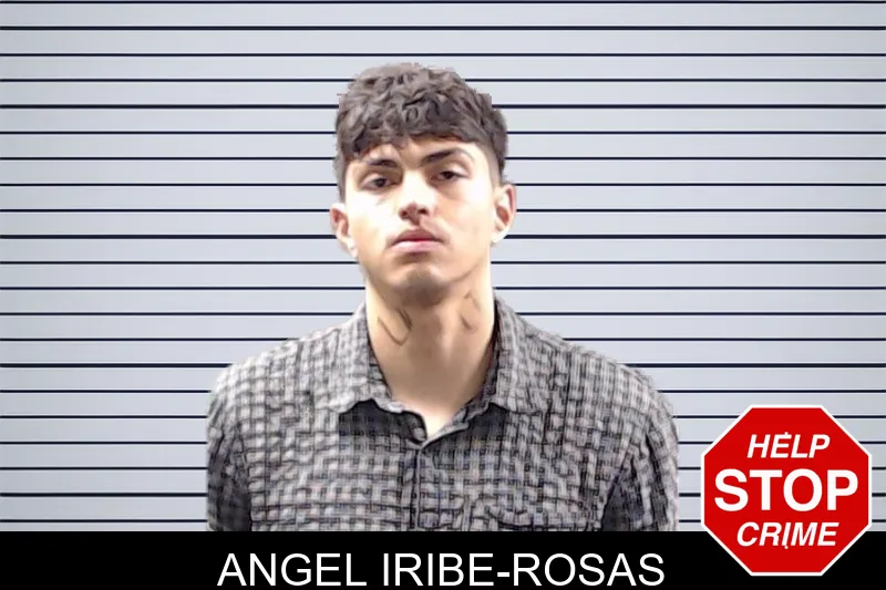 Angel Iribe-Rosas mugshot – DeKalb County , Georgia Angel Iribe-Rosas mugshot