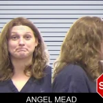 Angel Mead mugshot