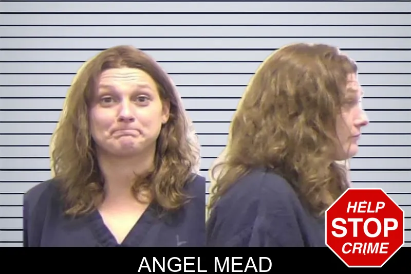 Angel Mead mugshot