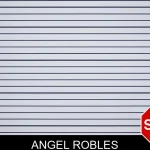 Angel Robles mugshot