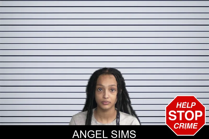 Angel Sims mugshot – Twiggs County , Georgia Angel Sims mugshot
