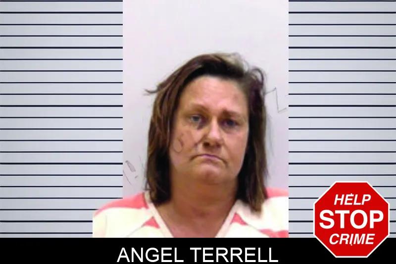 Angel Terrell mugshot – Bartow County , Georgia Angel Terrell mugshot