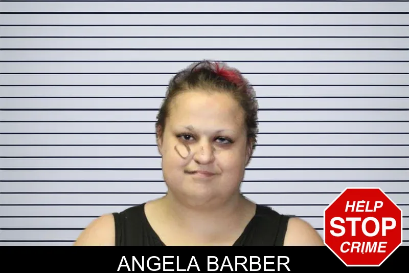 Angela Barber mugshot