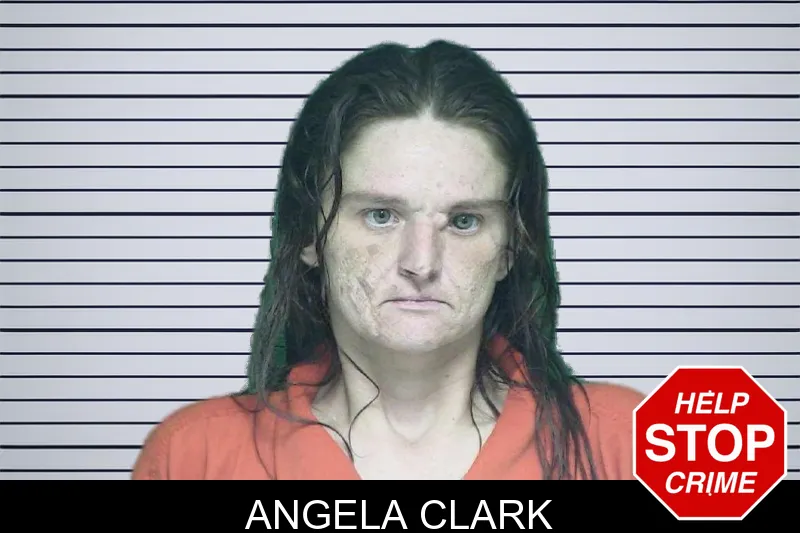 Angela Clark mugshot – Appling County , Georgia Angela Clark mugshot
