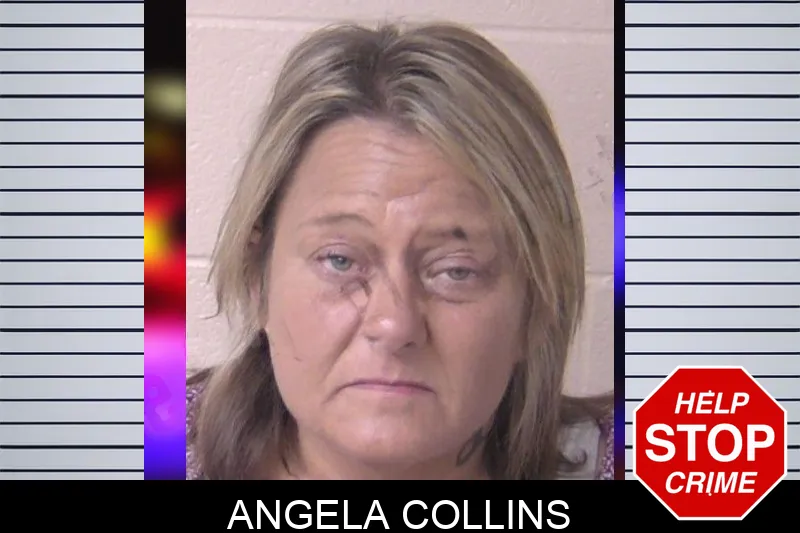 Angela Collins mugshot – Walker County , Georgia Angela Collins mugshot