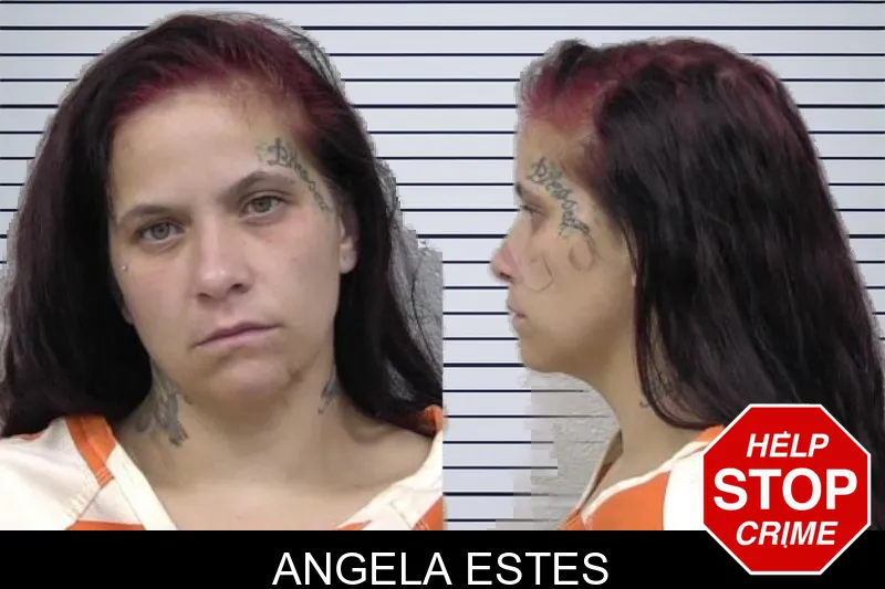 Angela Estes mugshot