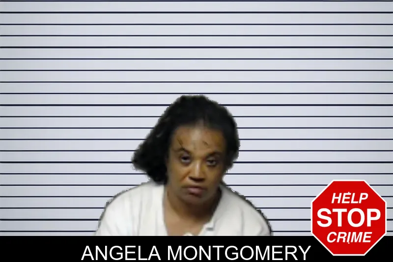 Angela Montgomery mugshot