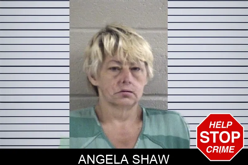 Angela Shaw mugshot – Whitfield County , Georgia Angela Shaw mugshot