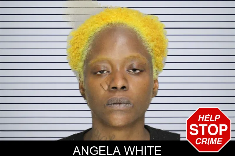 Angela White mugshot
