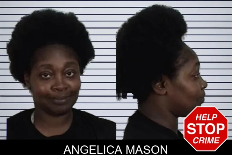 Angelica Mason mugshot – Camden County , Georgia Angelica Mason