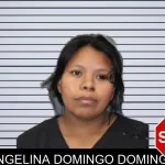 Angelina Domingo Domingo mugshot