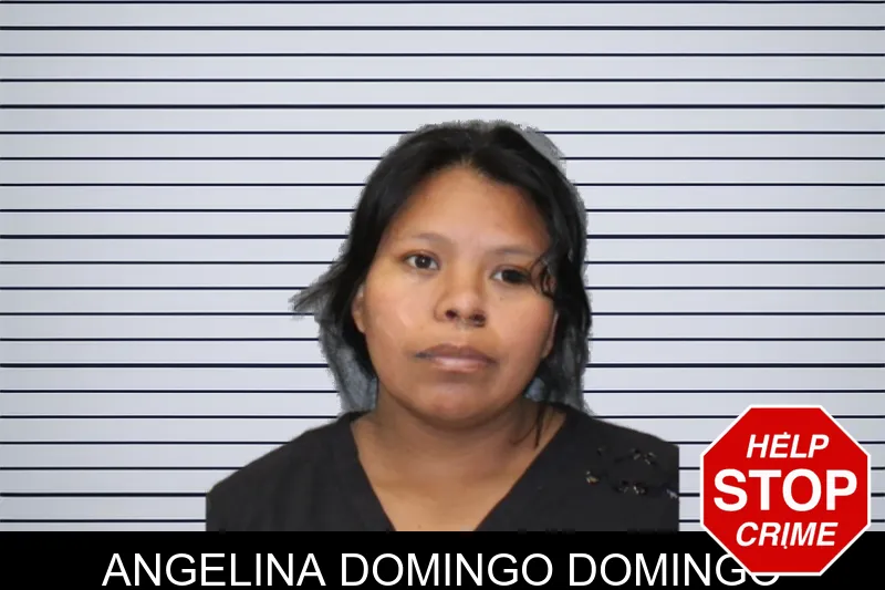 Angelina Domingo Domingo mugshot