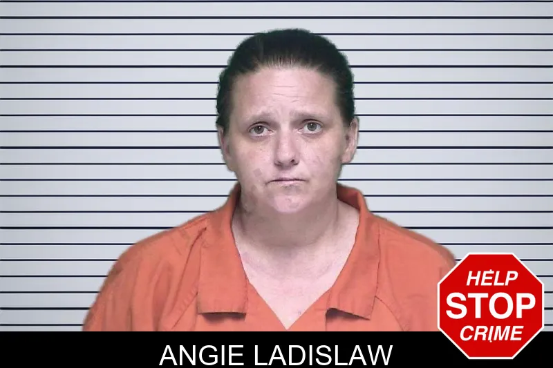Angie Ladislaw mugshot