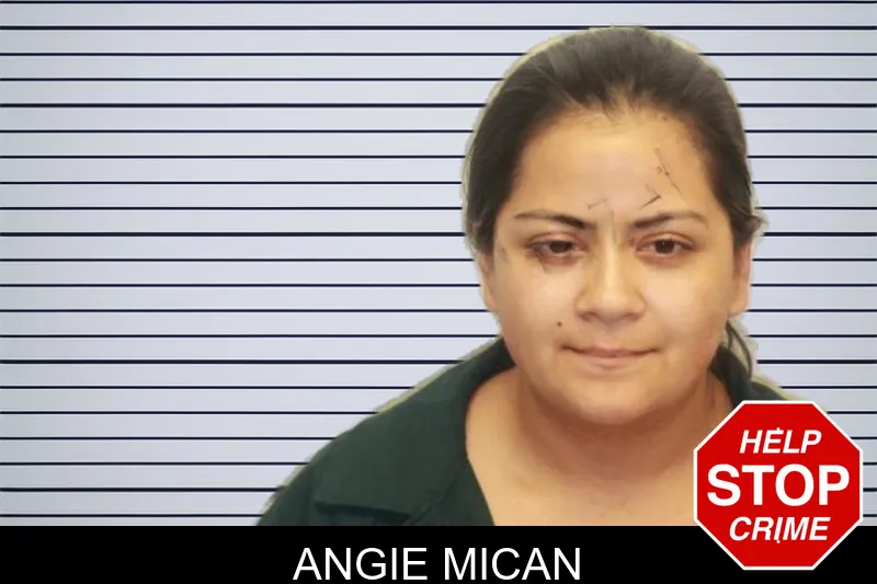 Angie Mican mugshot