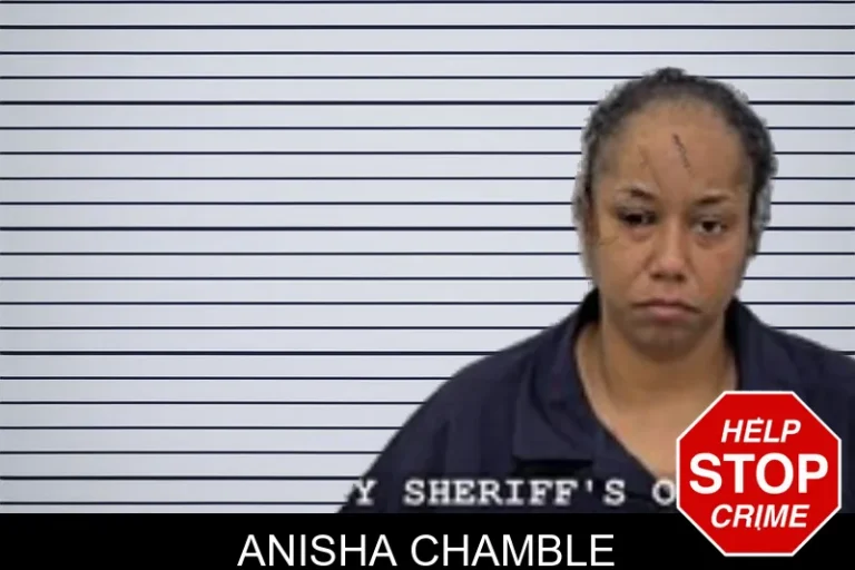 Anisha Chamble
