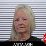 Anita Akin mugshot