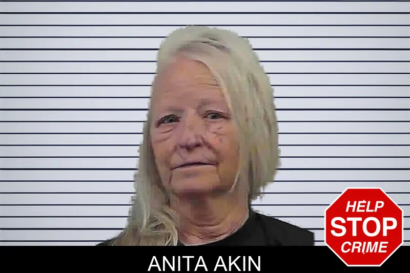 Anita Akin mugshot