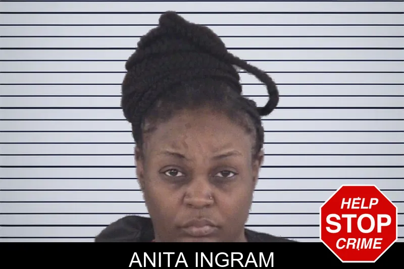 Anita Ingram mugshot