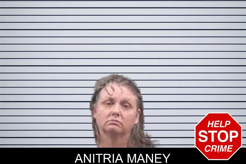 Anitria Maney mugshot – Banks County , Georgia Anitria Maney mugshot