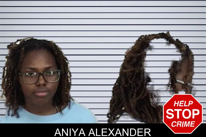 Aniya Alexander mugshot – Camden County , Georgia Aniya Alexander mugshot