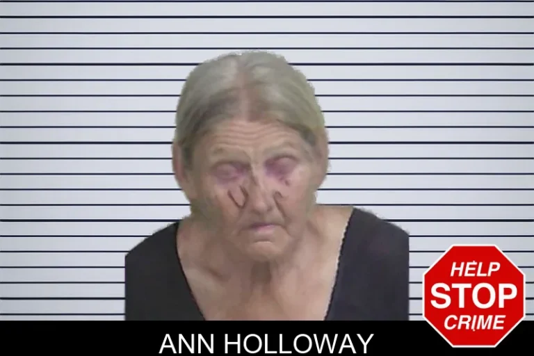 Ann Holloway