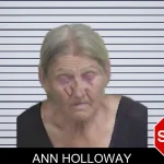 Ann Holloway mugshot