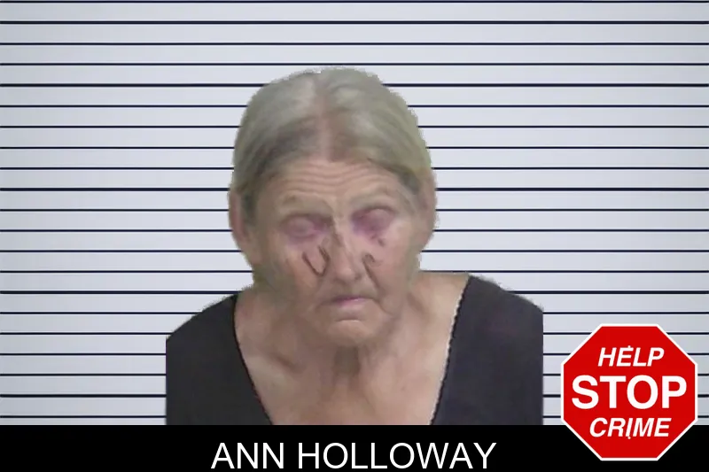 Ann Holloway mugshot