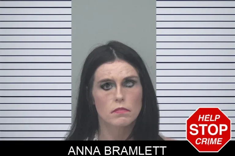 Anna Bramlett mugshot – Gwinnett County , Georgia Anna Bramlett