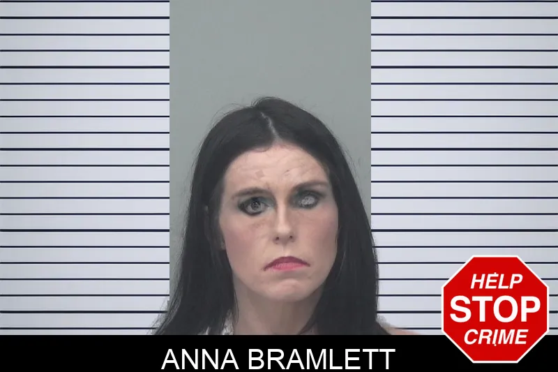 Anna Bramlett mugshot – Gwinnett County , Georgia Anna Bramlett mugshot
