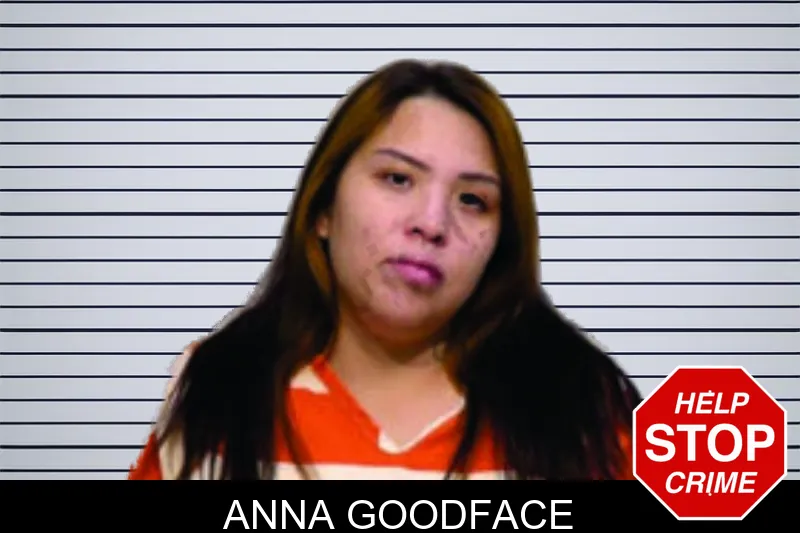 Anna Goodface mugshot
