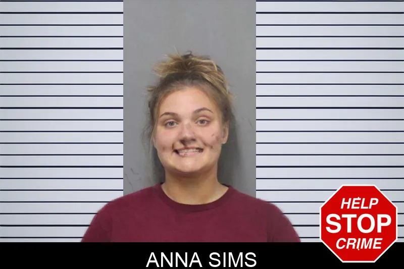 Anna Sims mugshot