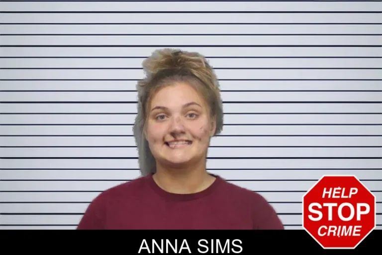 Anna Sims mugshot – White County , Georgia Anna Sims