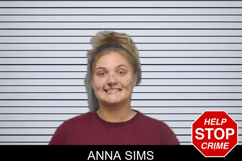 Anna Sims mugshot
