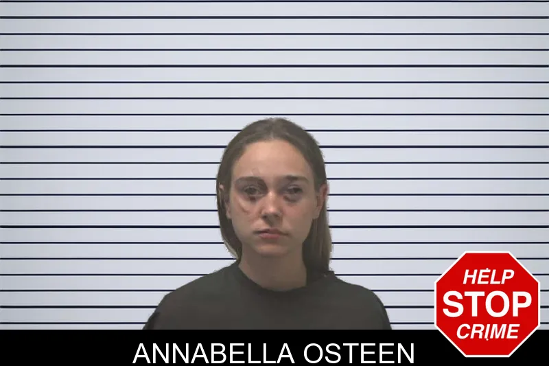 Annabella Osteen mugshot – Coweta County , Georgia Annabella Osteen mugshot