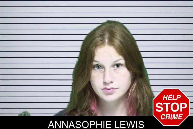Annasophie Lewis mugshot – Appling County , Georgia Annasophie Lewis mugshot