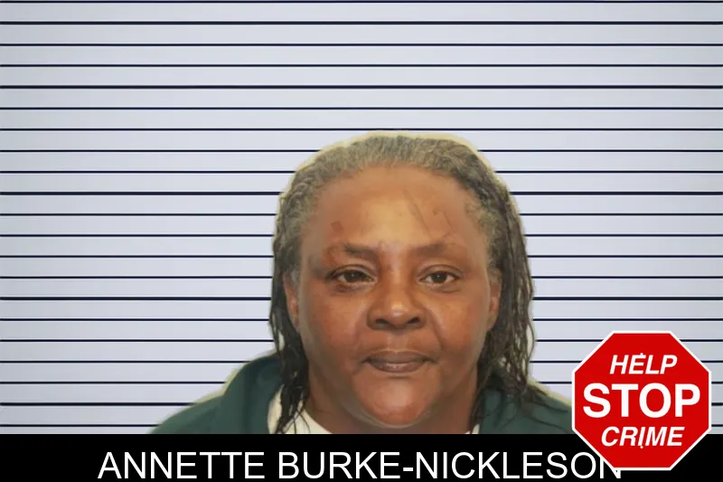 Annette Burke-Nickleson mugshot – Chatham County , Georgia Annette Burke-Nickleson mugshot
