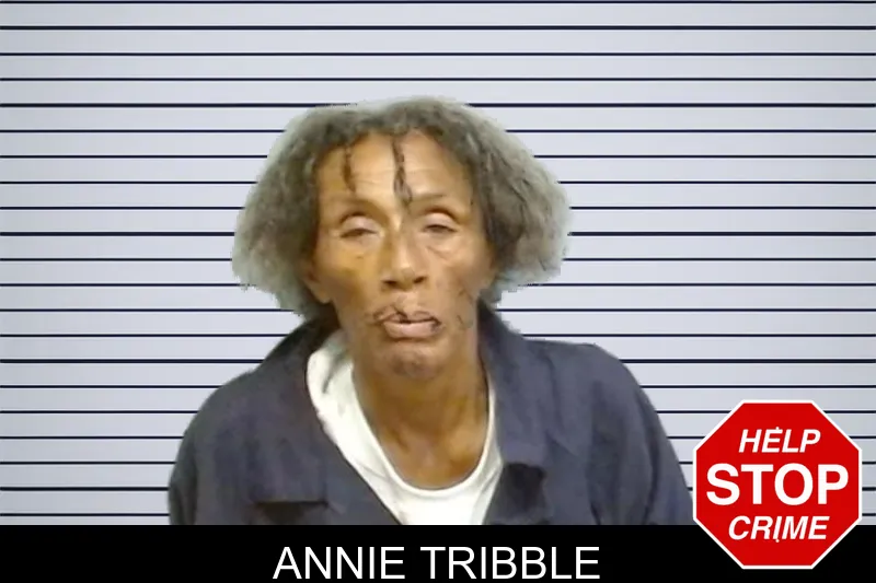 Annie Tribble mugshot