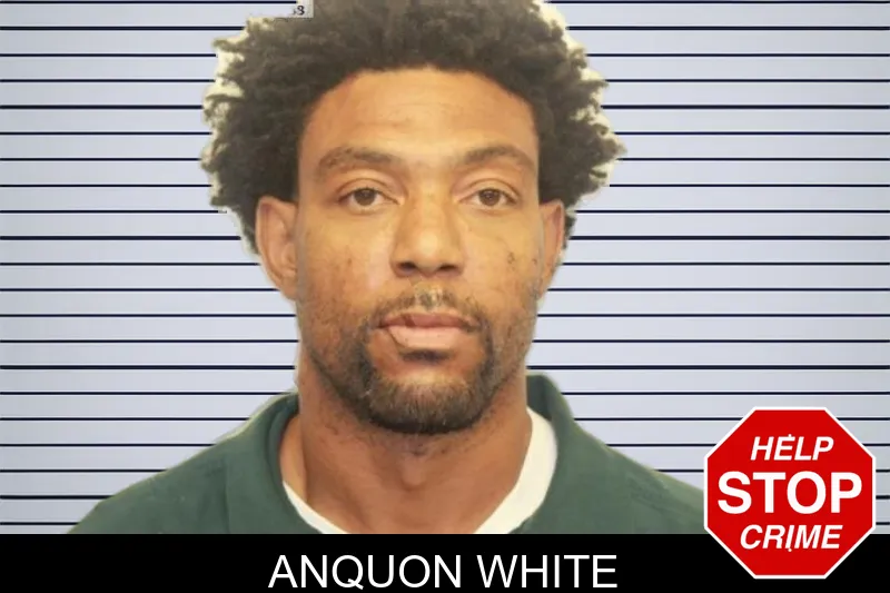 Anquon White mugshot – Chatham County , Georgia Anquon White mugshot