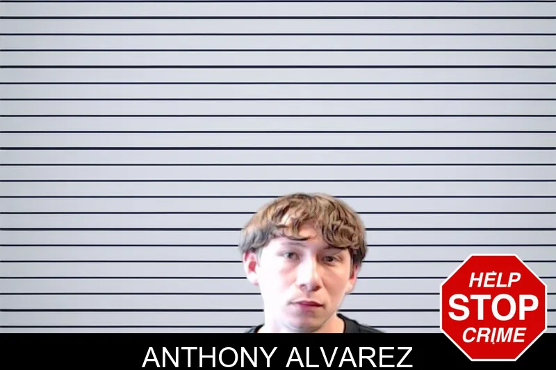Anthony Alvarez mugshot