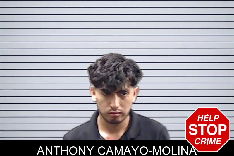 Anthony Camayo-Molina mugshot – DeKalb County , Georgia Anthony Camayo-Molina mugshot