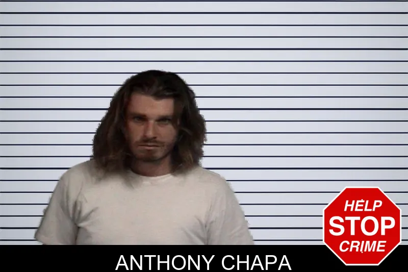 Anthony Chapa mugshot