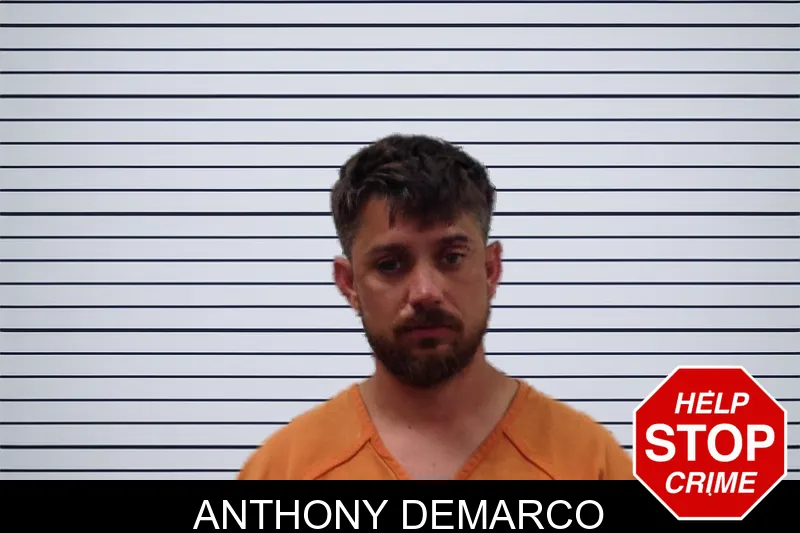 Anthony Demarco mugshot