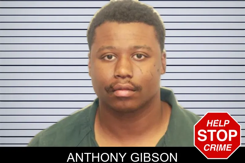 Anthony Gibson mugshot