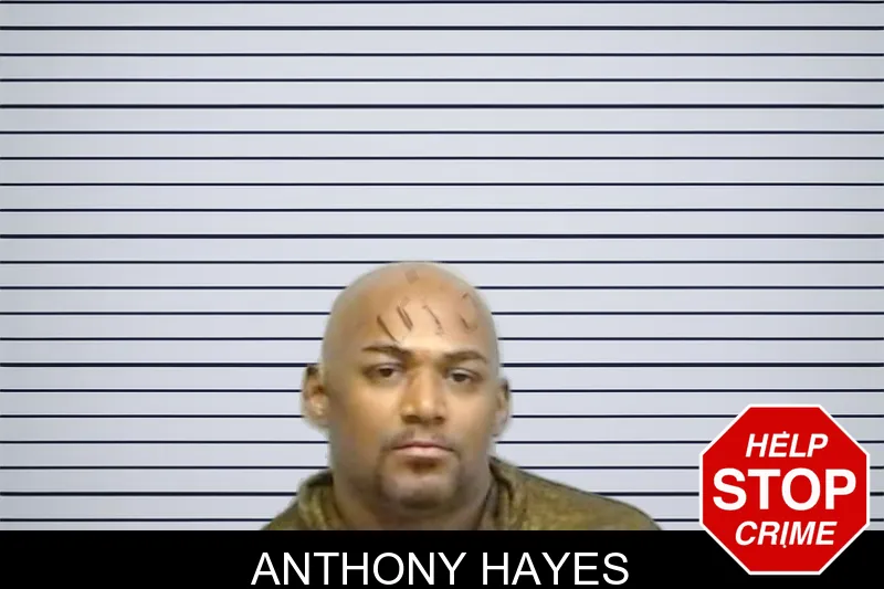 Anthony Hayes mugshot